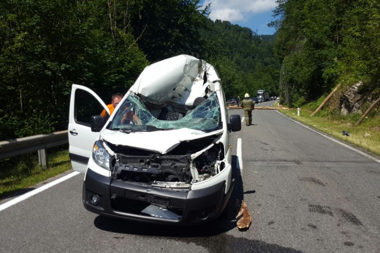 Verkehrsunfall nach Kollision mit Baumstamm